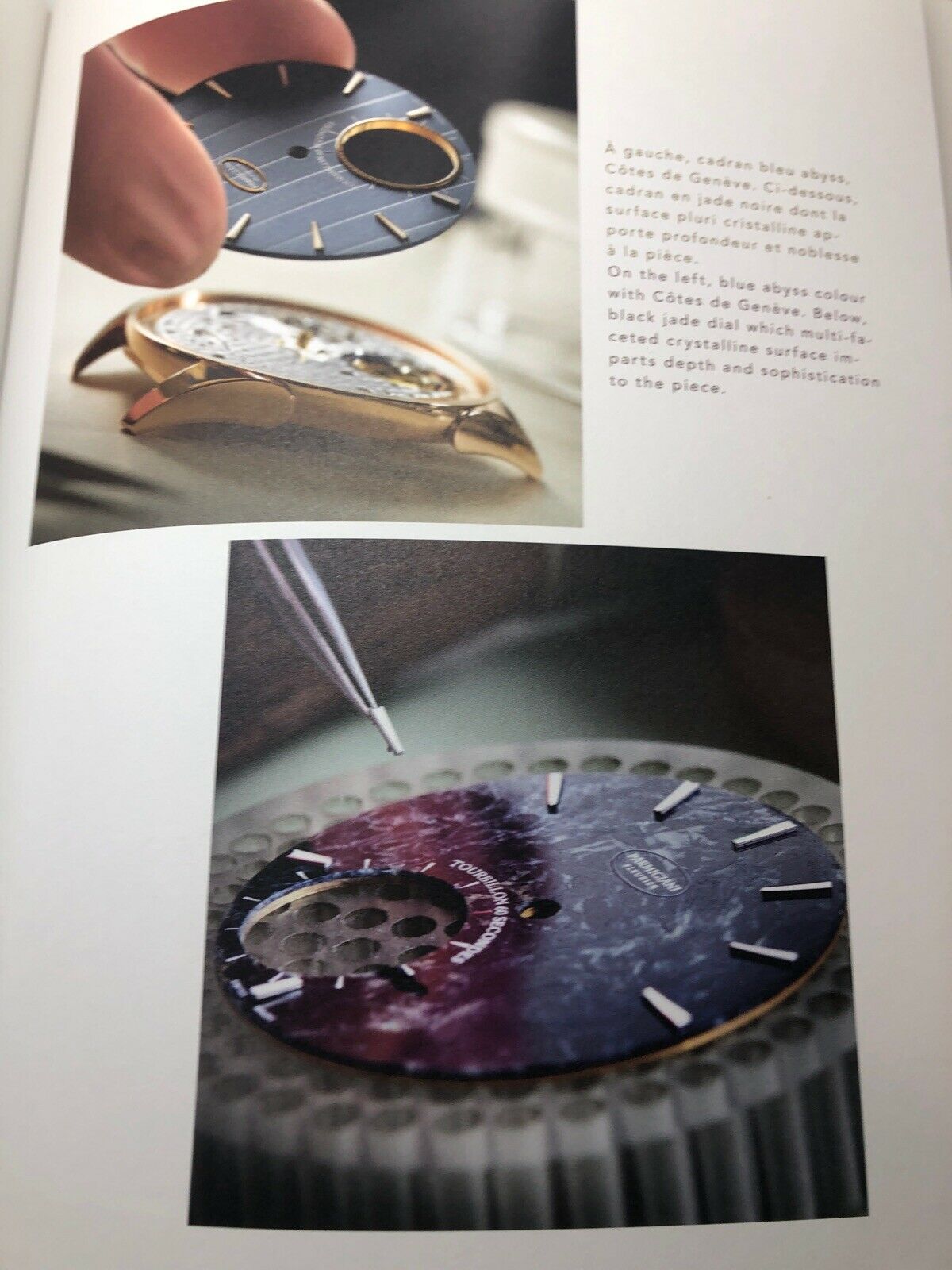 Parmigiani Tourbillon Watch Book